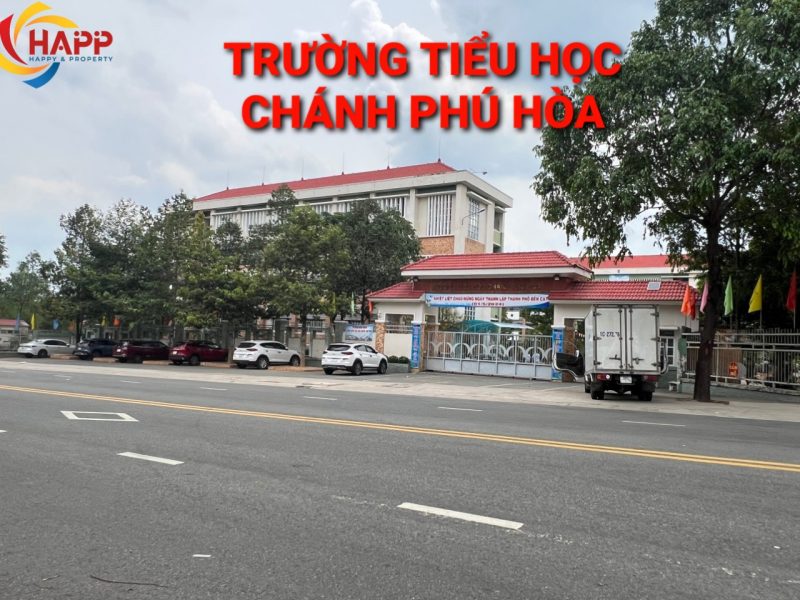 dat my phuoc 3